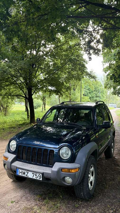 Jeep Cherokee 2004 — rear view