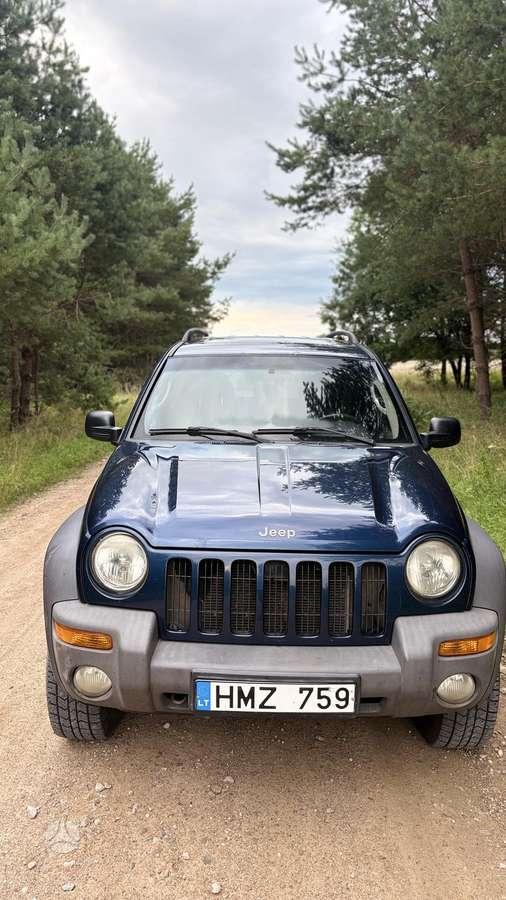 Jeep Cherokee 2004 — photo 9