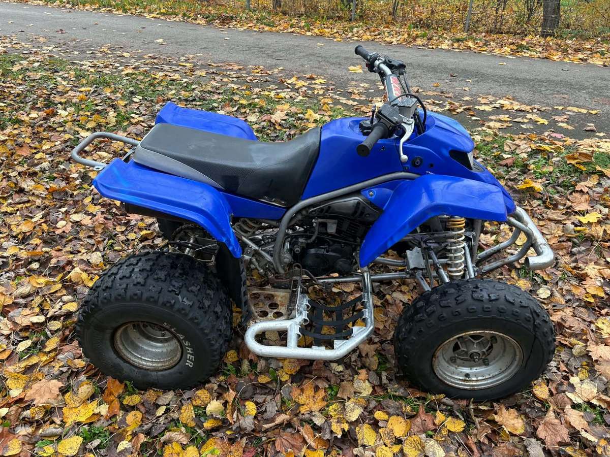 Yamaha YFS 2004 — rear view