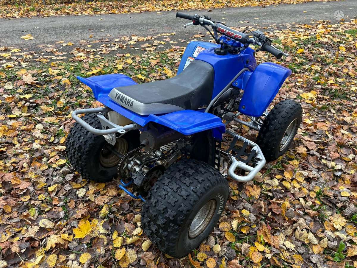 Yamaha YFS 2004 — engine 200 cm³