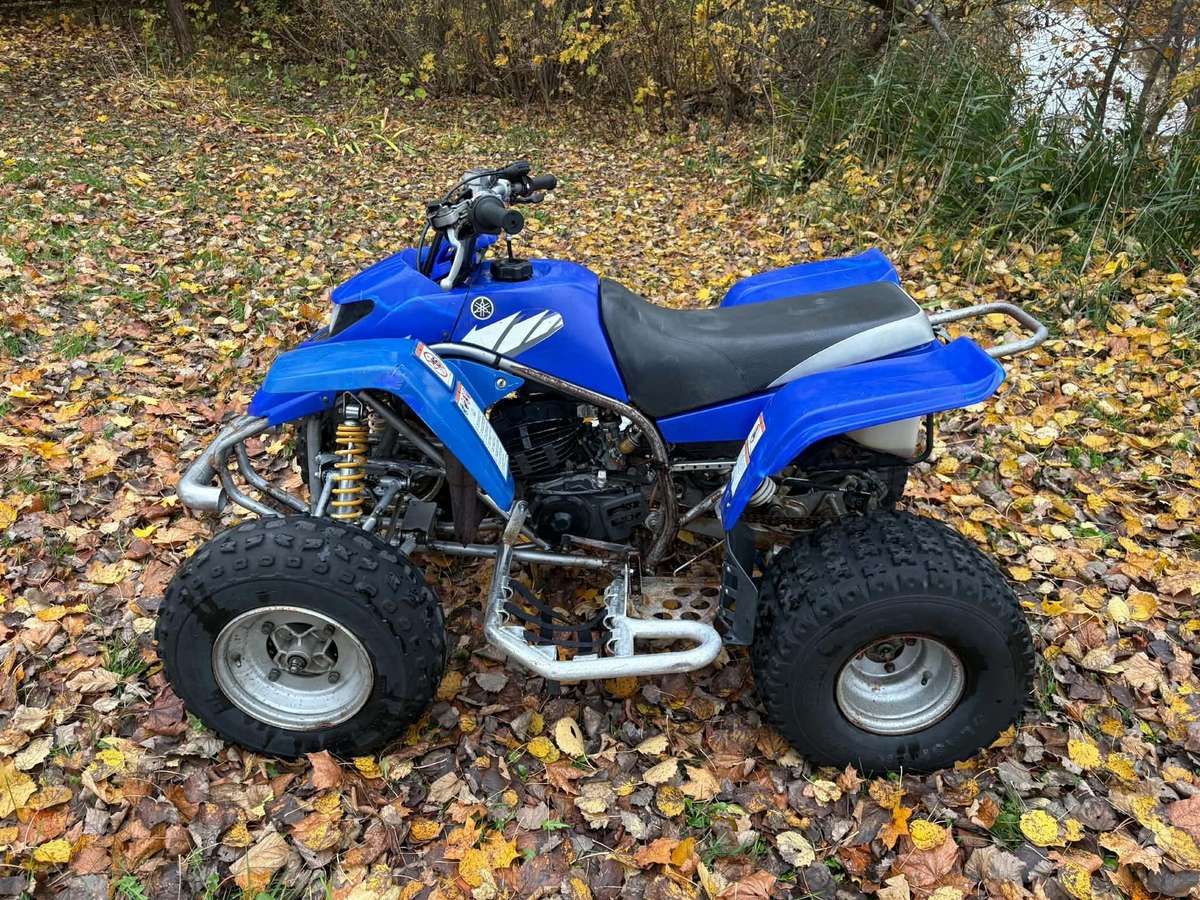 Yamaha YFS 2004 — photo 5