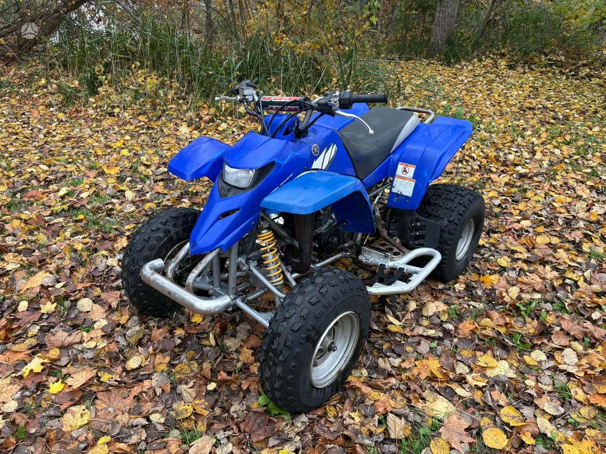 Yamaha YFS 2004 — photo 6