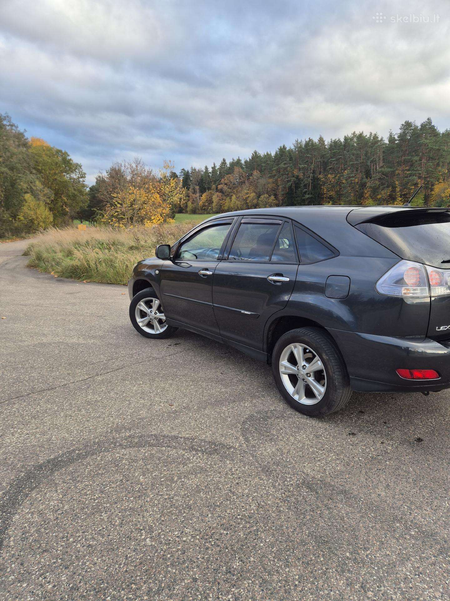 Lexus RX 2008 — rear view