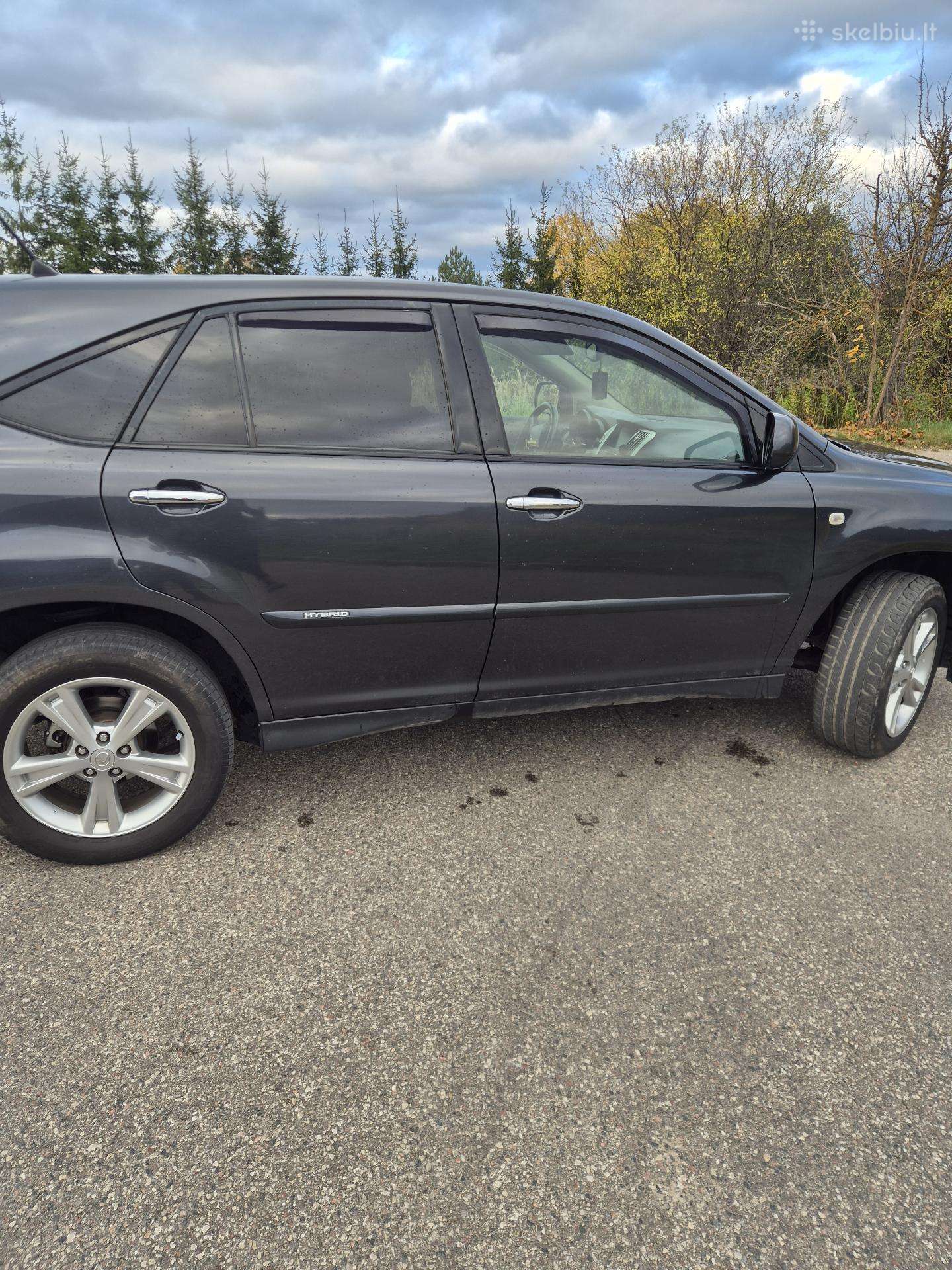 Lexus RX 2008 — photo 8