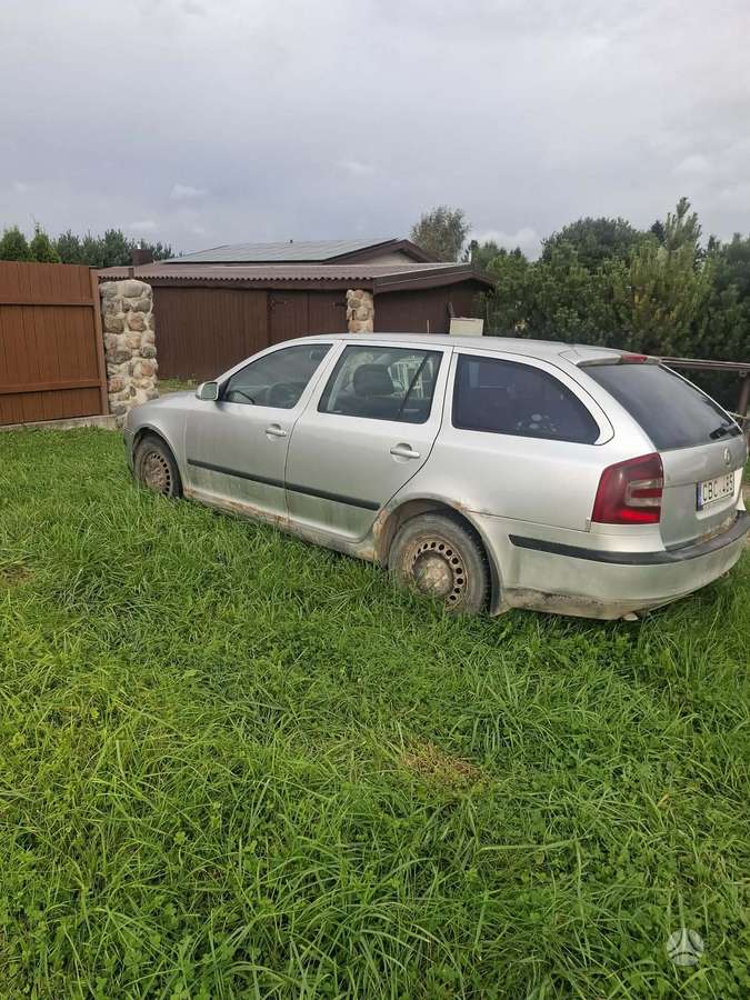 Skoda Octavia 2006 — вигляд ззаду