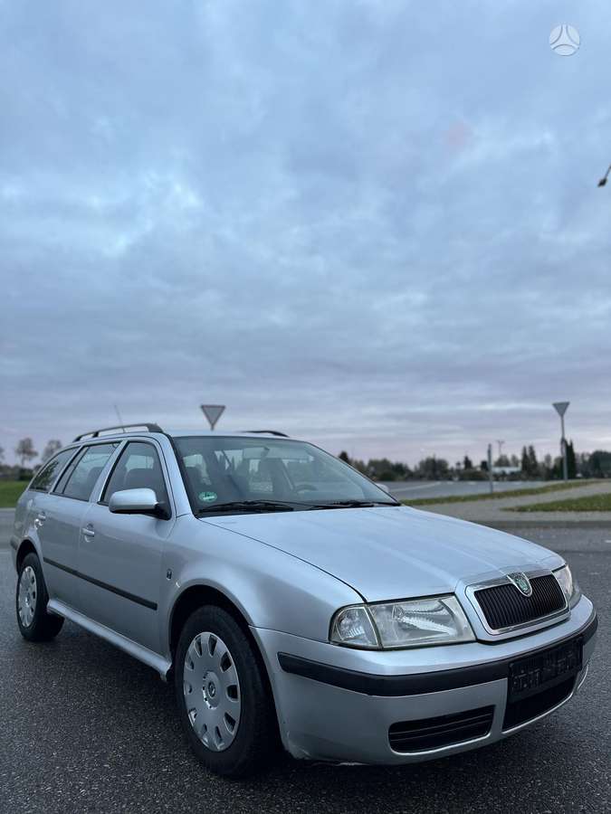 Skoda Octavia 2009 — вигляд ззаду