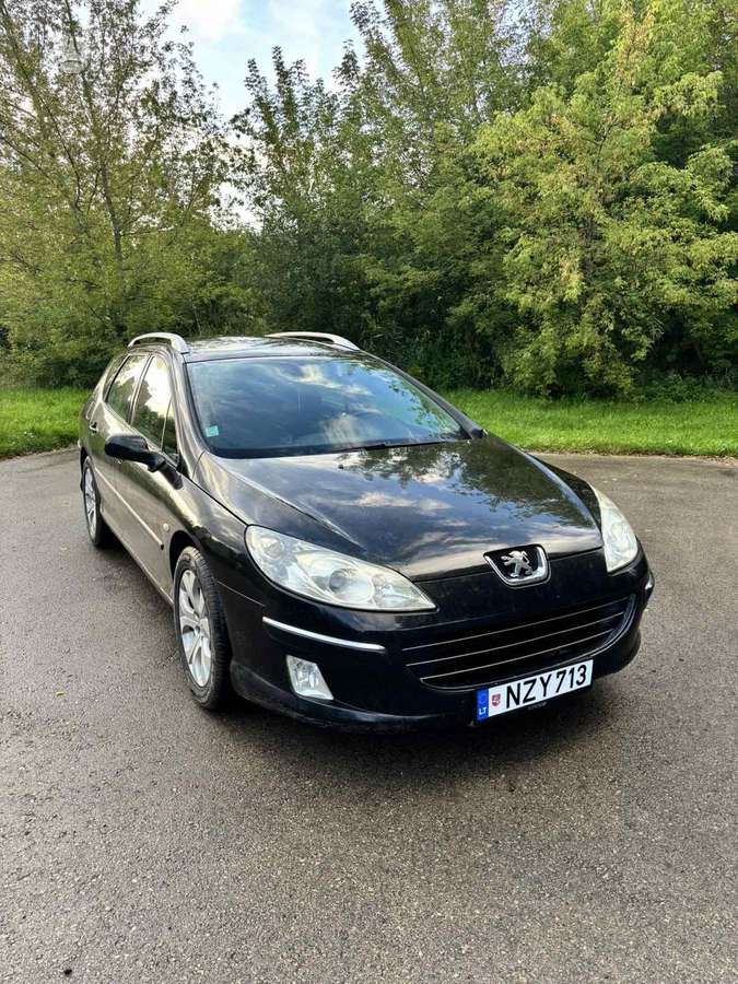 Peugeot 407, 2006