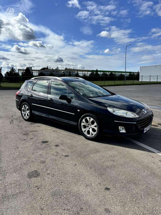 Peugeot 407 2006 — rear view
