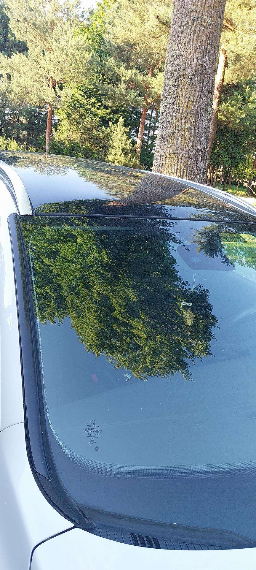 Peugeot 508 2014 — photo 17