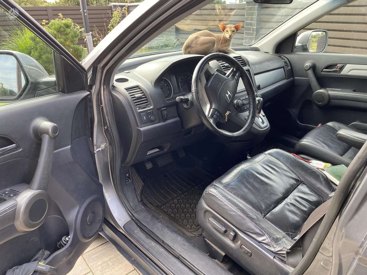 Honda CR-V 2010 — photo 5