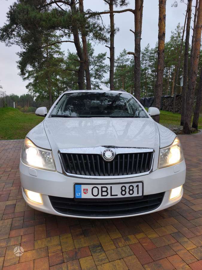 Skoda Octavia 2010 — rear view