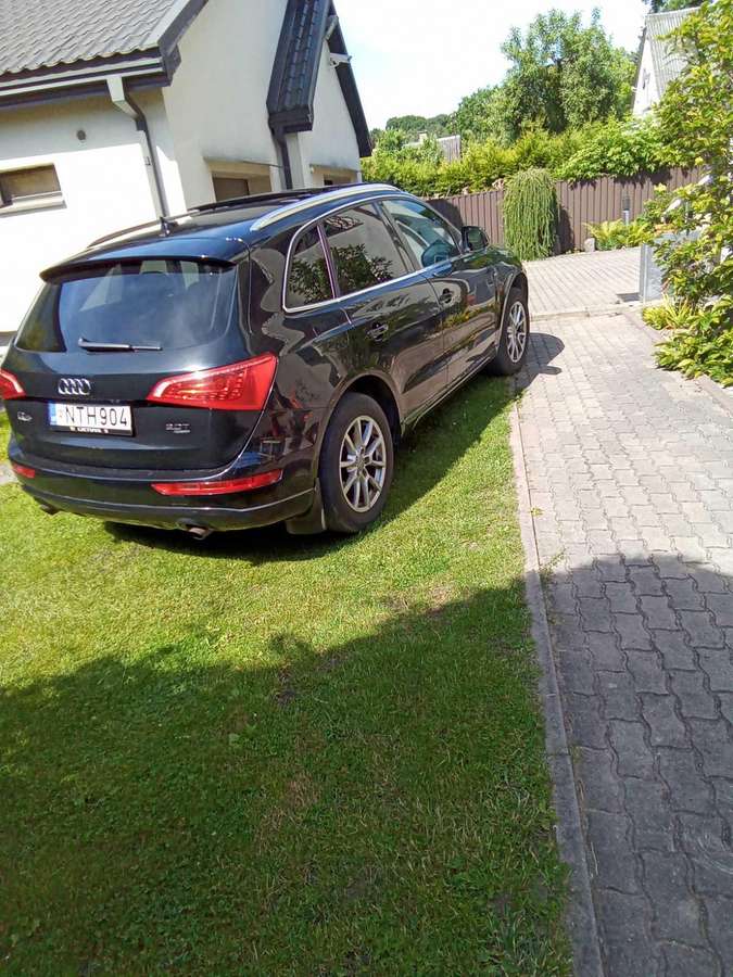 Audi Q5 2011 — rear view