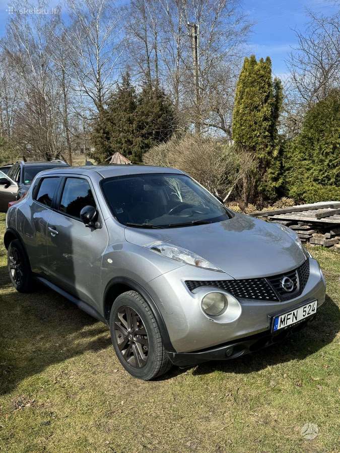 Nissan Juke 2011 — вигляд ззаду