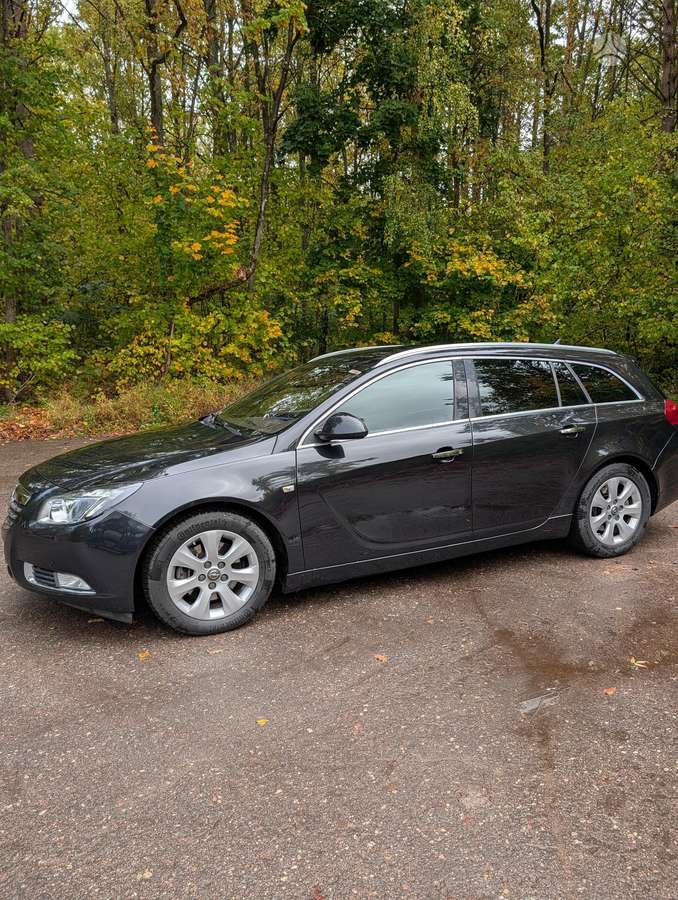 Opel Insignia 2013 — вигляд ззаду