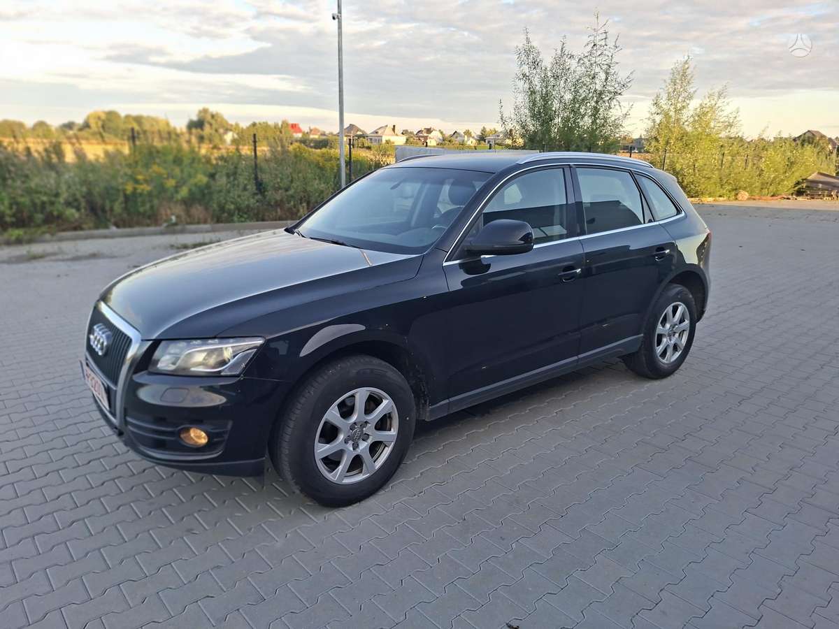 Audi Q5 2009 — вигляд ззаду