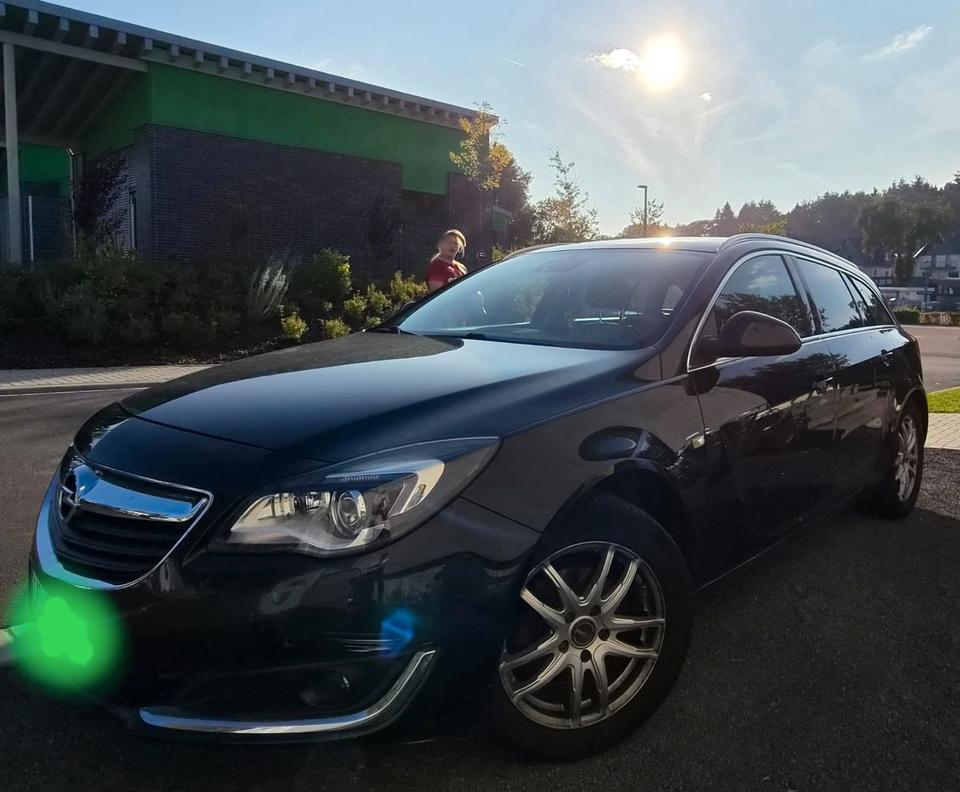Opel Insignia 2015 — photo 15