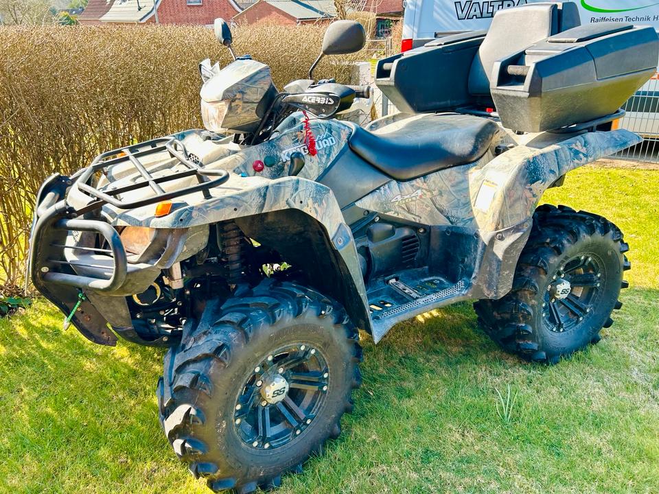 Suzuki Gelöscht • Quad Suzuki King 750 AXi 2011 — вигляд ззаду