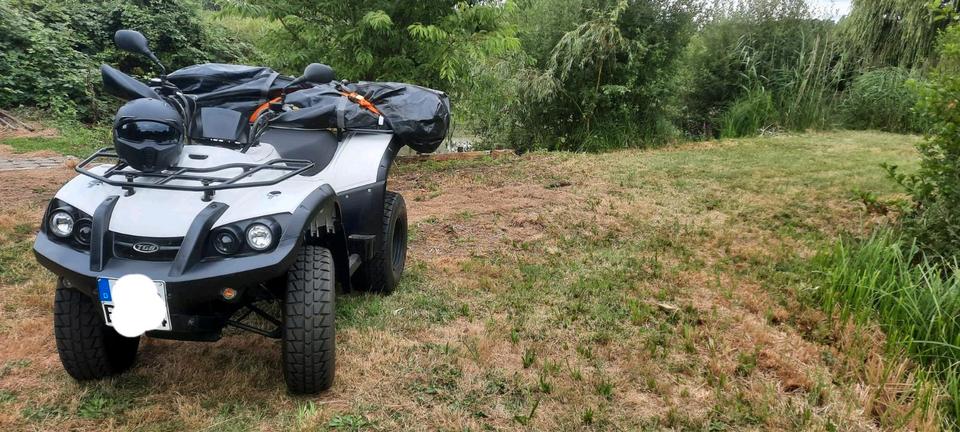 Weitere Motorräder Quad TGB Blade 325 2011 — rear view