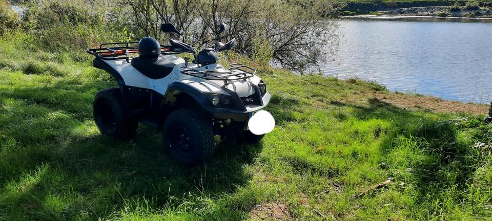 Weitere Motorräder Quad TGB Blade 325 2011 — engine 287 ccm