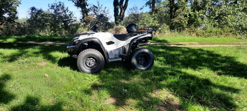 Weitere Motorräder Quad TGB Blade 325 2011 — photo 8