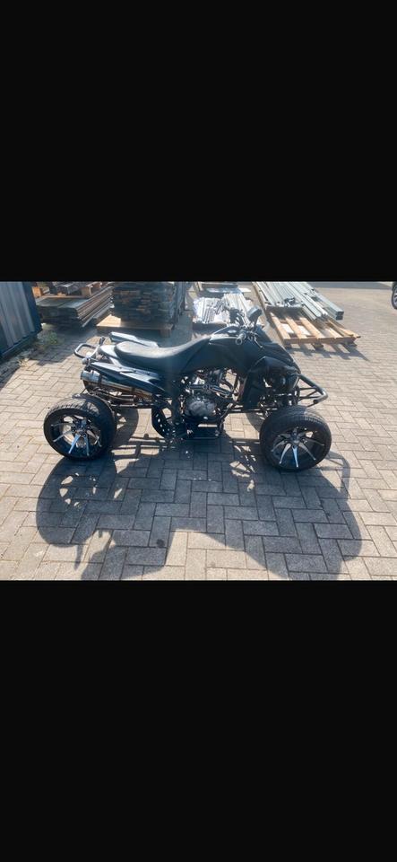 Weitere Motorräder Haili sp307j Quad 2009 — rear view