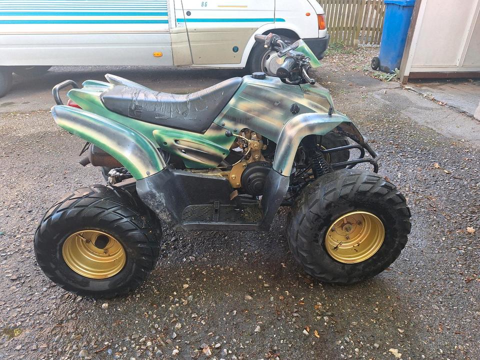 Weitere Motorräder Quad 110ccm 2Takt 2005 — rear view