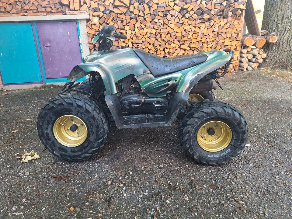 Weitere Motorräder Quad 110ccm 2Takt 2005 — interior