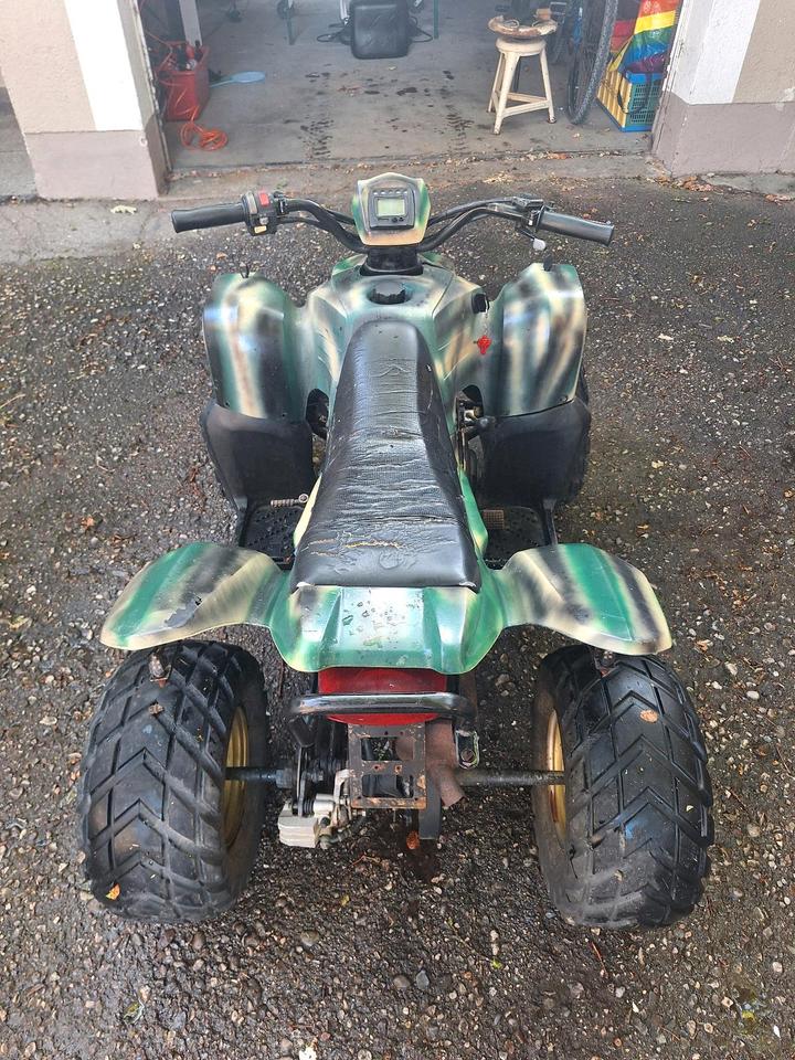 Weitere Motorräder Quad 110ccm 2Takt 2005 — engine 110 ccm