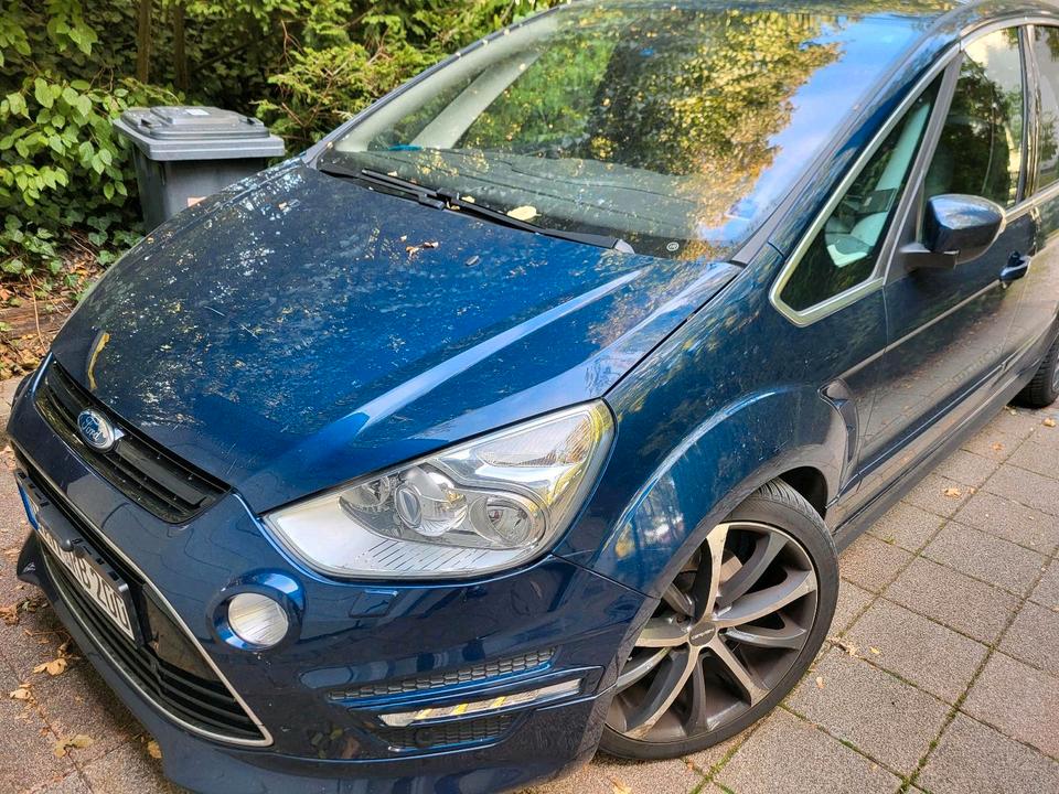Ford S-Max 2010 — вигляд ззаду