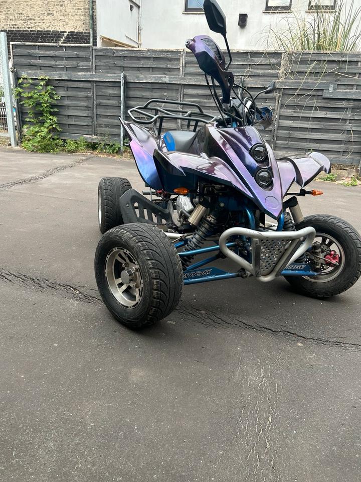  Quad 250 zum verkaufen 2010 — rear view