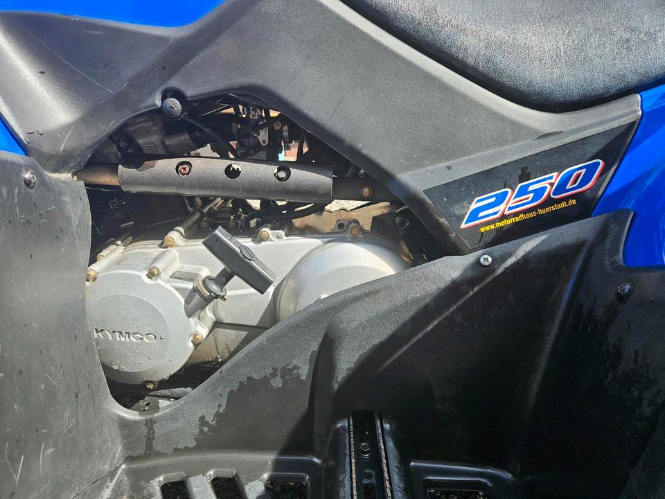 Kymco MXU 250 Quad ATV 2005 — photo 10