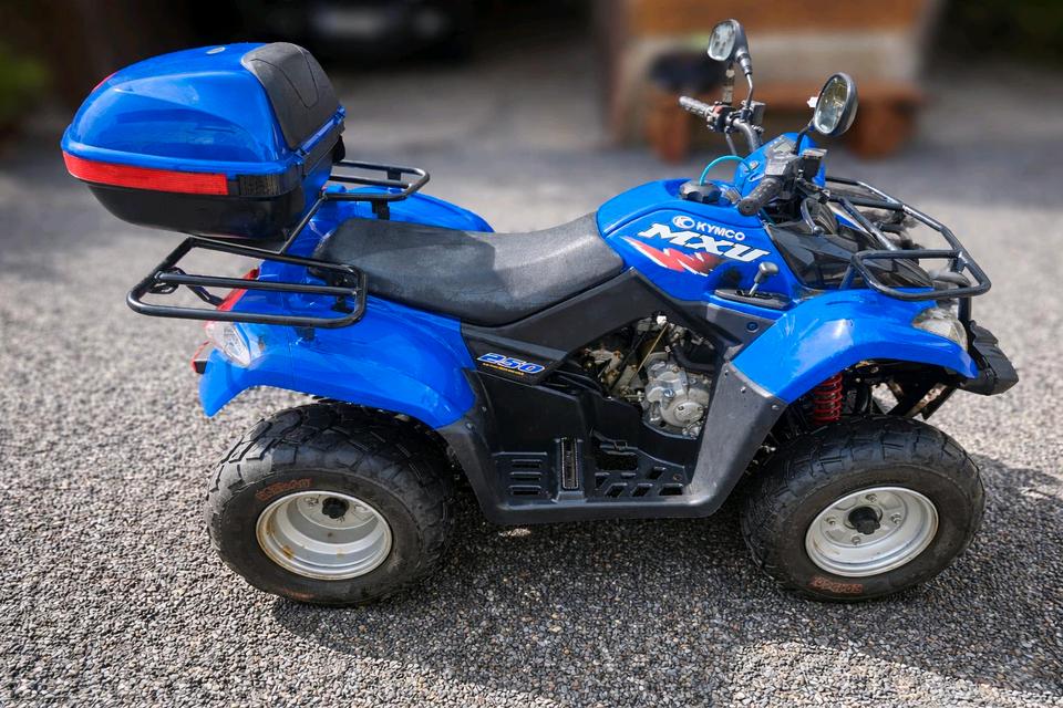 Kymco MXU 250 Quad ATV 2005 — rear view