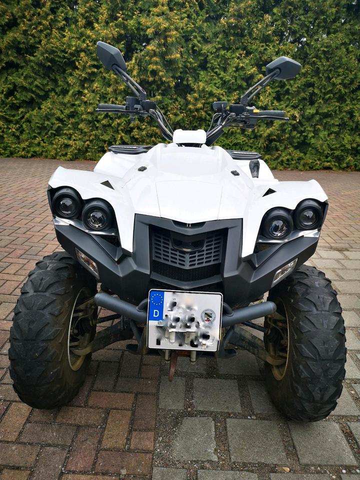 DINLI "CENTHOR 600" Quad/ATV + Schneeschild 2014 — vehicle for AFU Ukraine