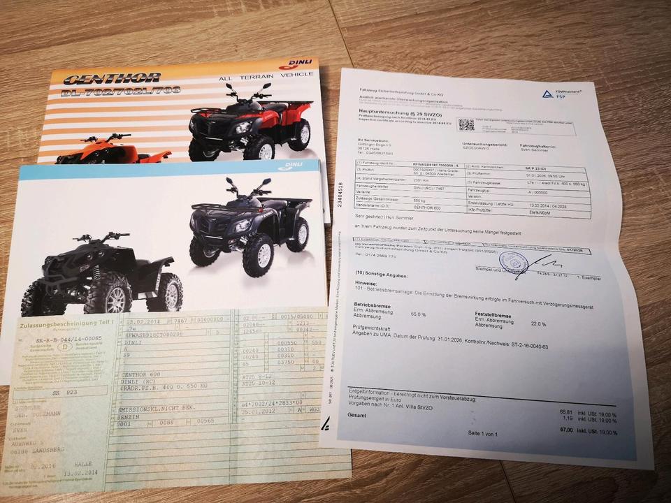  DINLI "CENTHOR 600" Quad/ATV + Schneeschild 2014 — photo 14