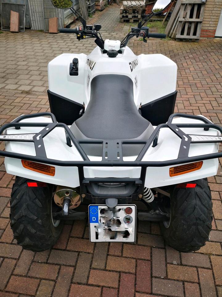  DINLI "CENTHOR 600" Quad/ATV + Schneeschild 2014 — rear view