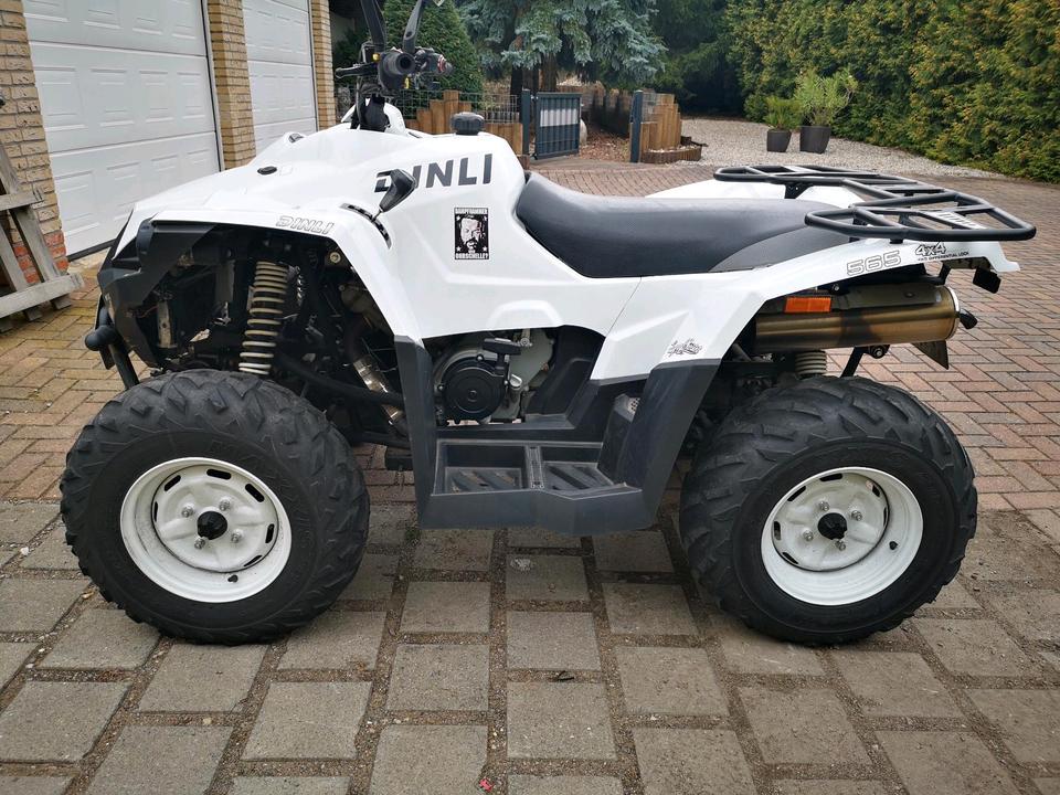  DINLI "CENTHOR 600" Quad/ATV + Schneeschild 2014 — interior