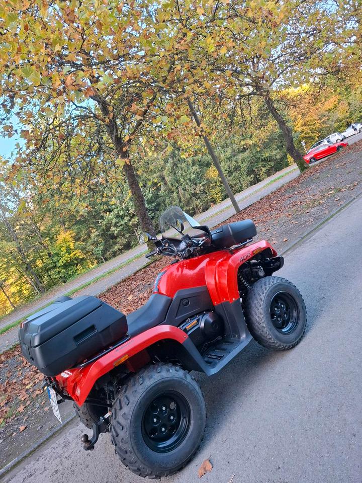 Weitere Motorräder Qwad Arctic cat 400 2014 — rear view