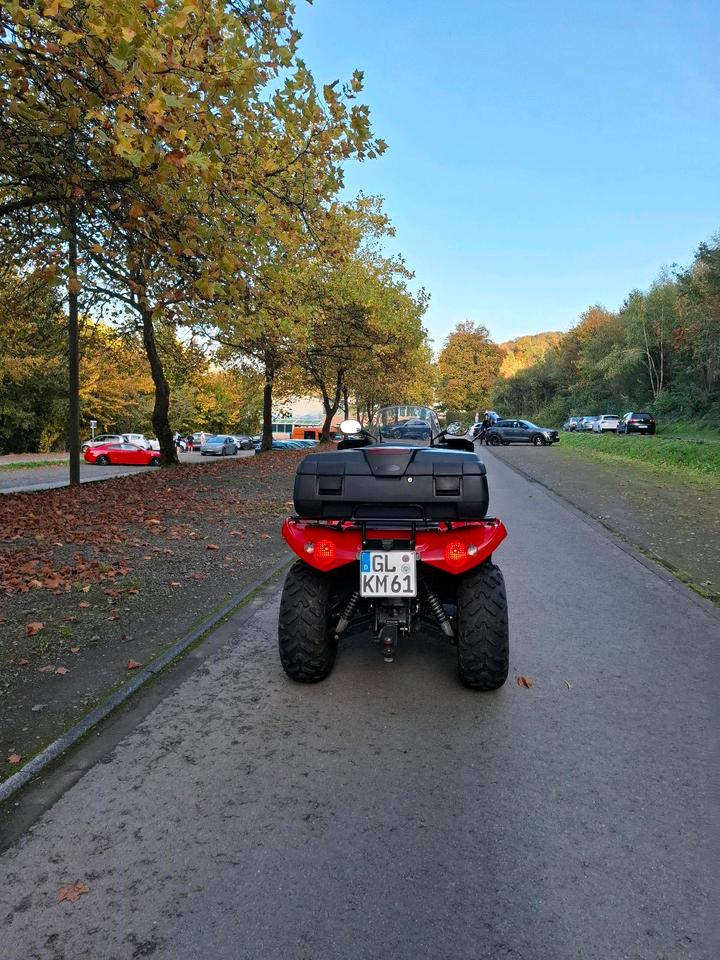 Weitere Motorräder Qwad Arctic cat 400 2014 — interior