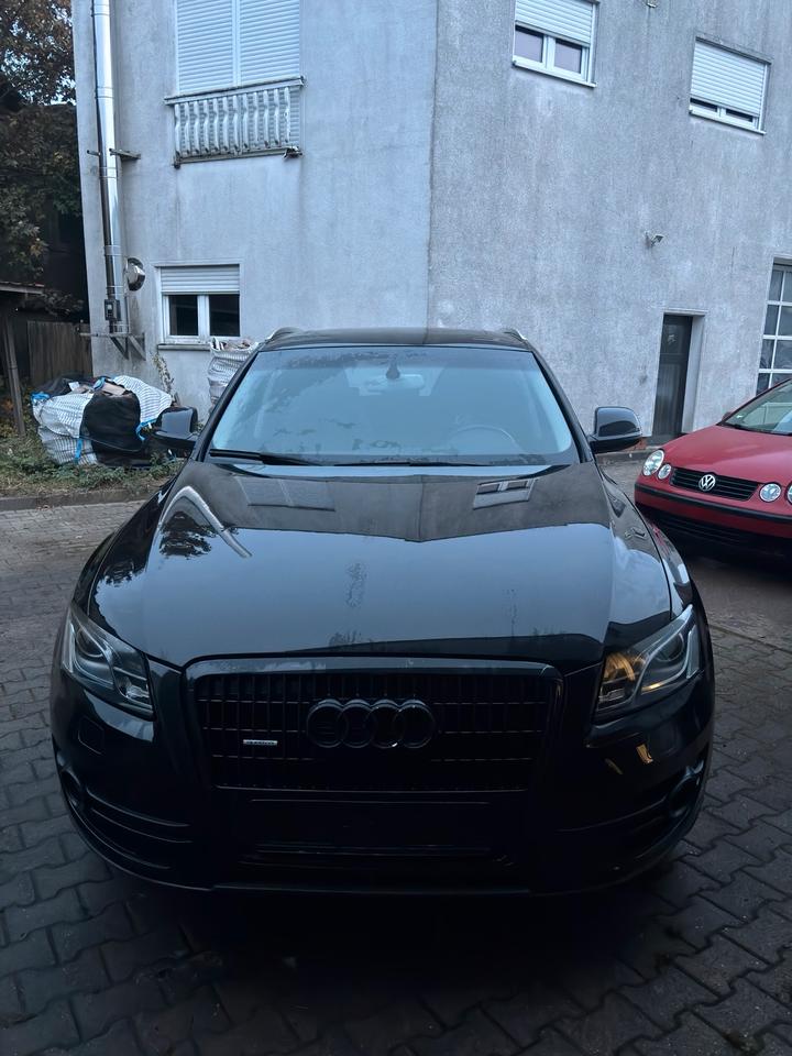 Audi Q5 2010 — rear view