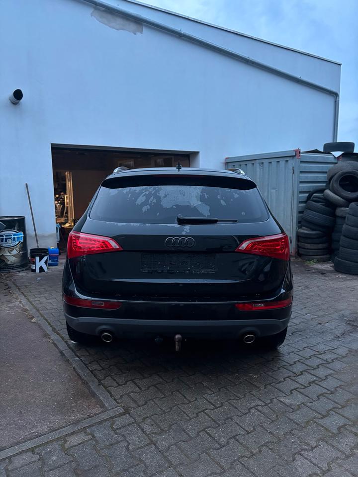 Audi Q5 2010 — photo 6