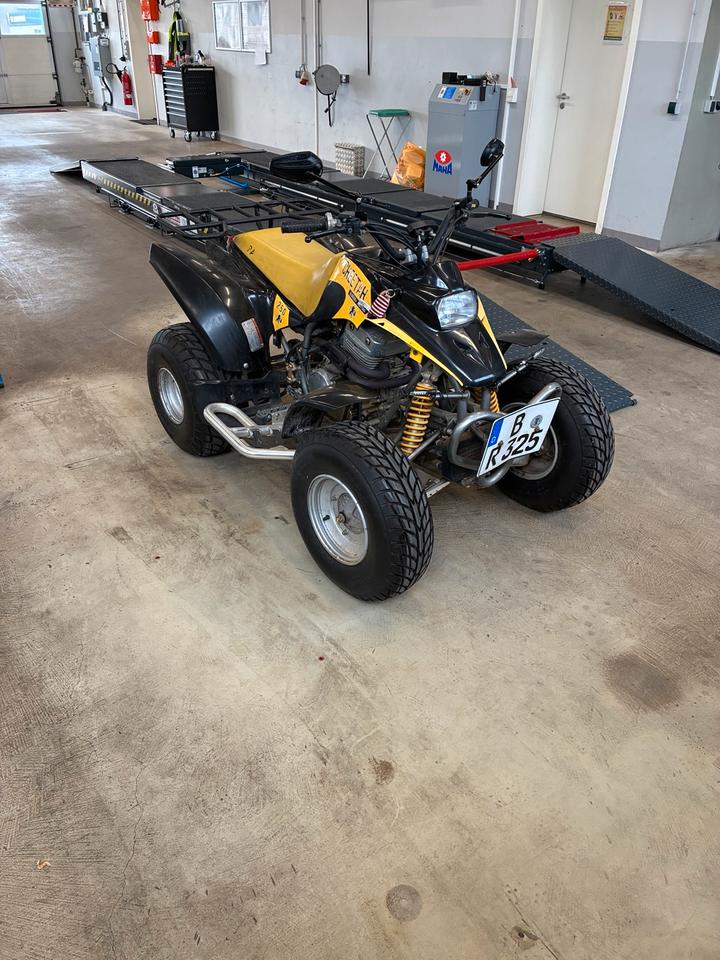 Weitere Motorräder Quad Barossa Cheetah 250 SMC TÜV Neu 2500km 2.Hand 2005 — rear view