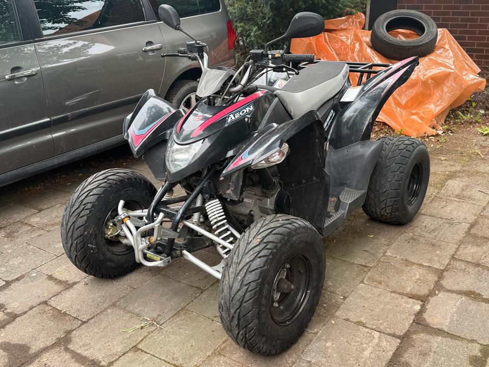 Weitere Motorräder Quad Aeon Cobra 350 2010 — rear view
