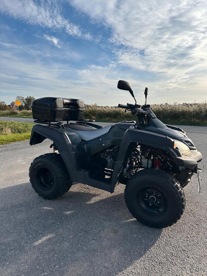 Weitere Motorräder Quad ATV 320 U 2007 — interior