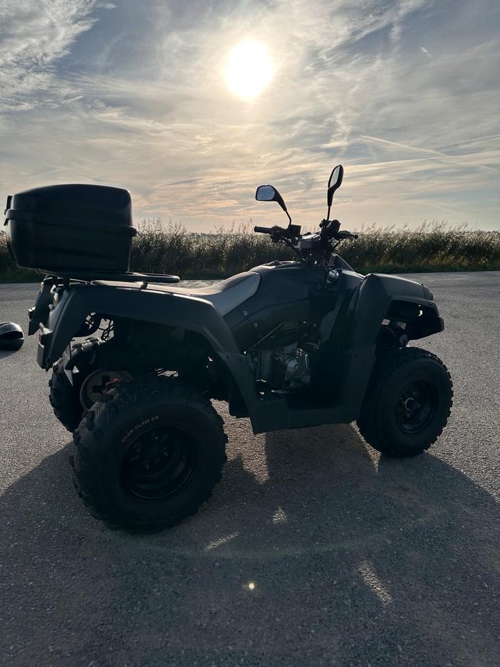 Weitere Motorräder Quad ATV 320 U 2007 — engine 272 ccm