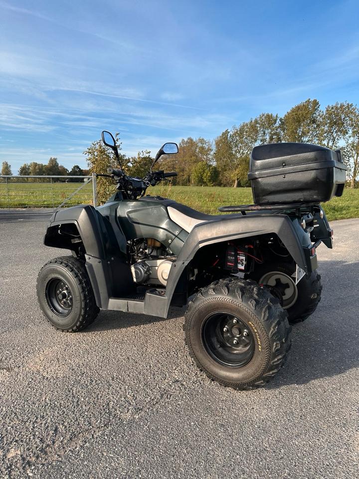 Weitere Motorräder Quad ATV 320 U 2007 — photo 6