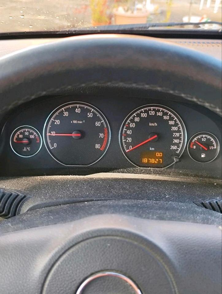 Opel Signum 2008 — photo 15