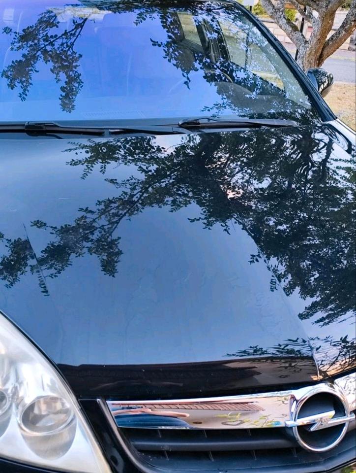 Opel Signum 2008 — photo 18