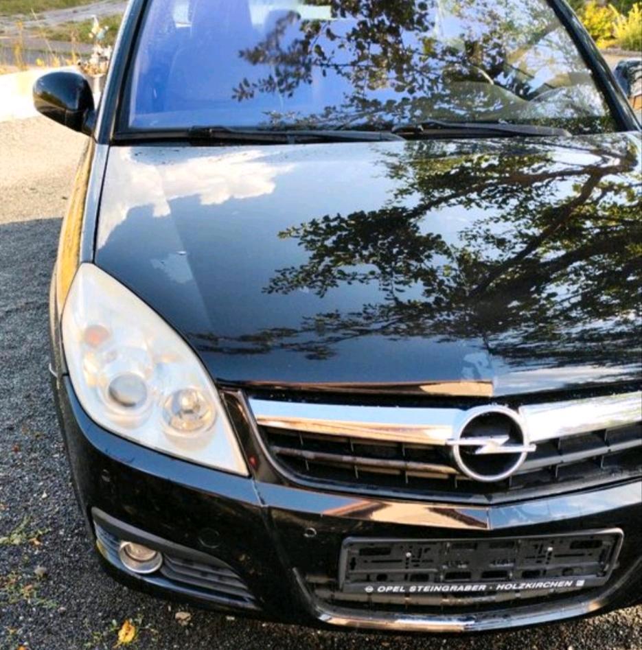 Opel Signum 2008 — rear view