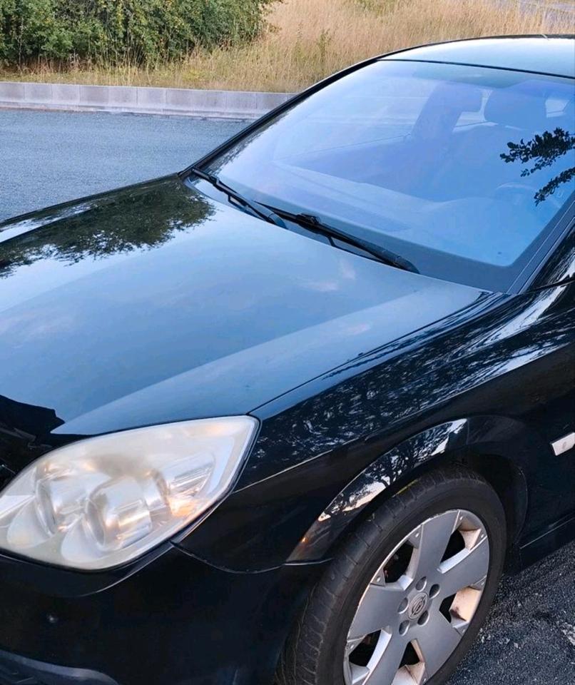Opel Signum 2008 — photo 20