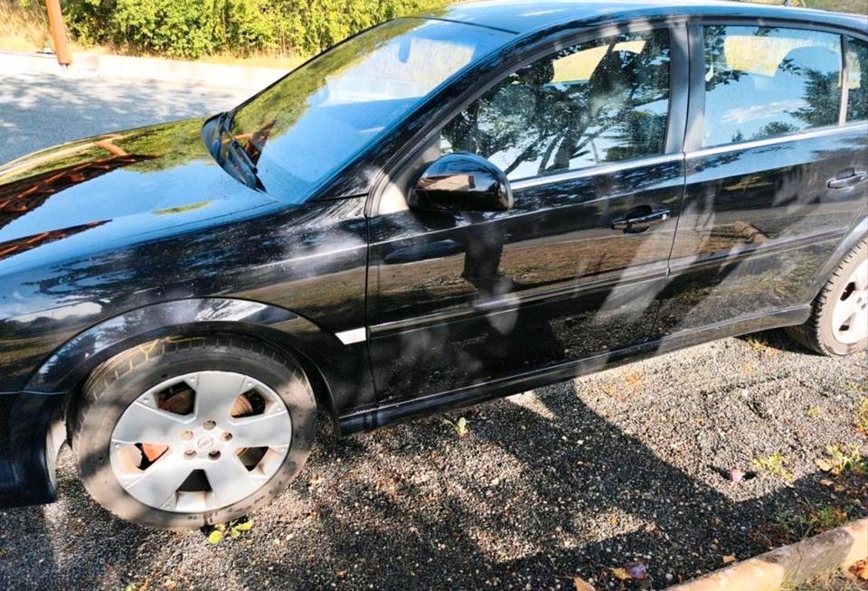 Opel Signum 2008 — engine